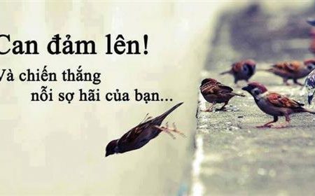 Friendly – 
Tôi les kín, nữ tính, năng …..