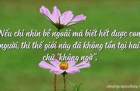 Thanh Thảo – 
đàn ông tốt