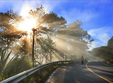 Một bạn nữ Đà Lạt – 
Thật lòng yêu thương chăm …..