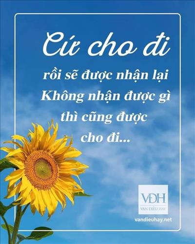 Cần một bờ vai – 
Một người đàn ông chân t…..