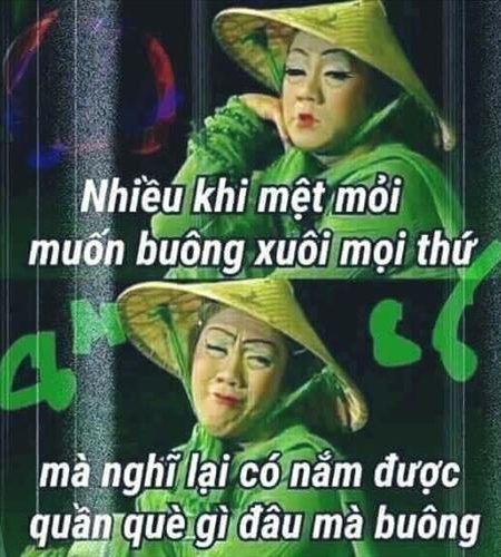 THU LINH – 
Vui vẽ, dễ gần , biết chi…..